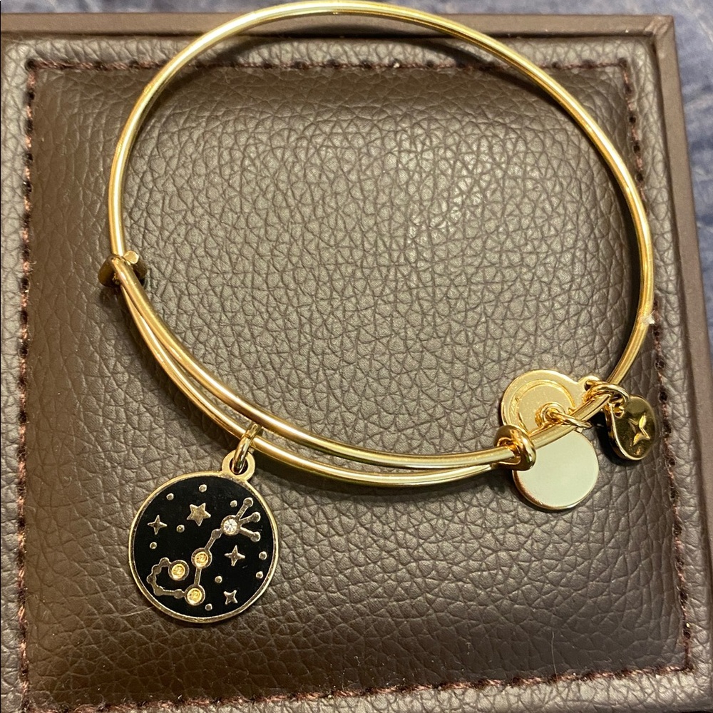 Gold Zodiac Charm Bangle Bracelet